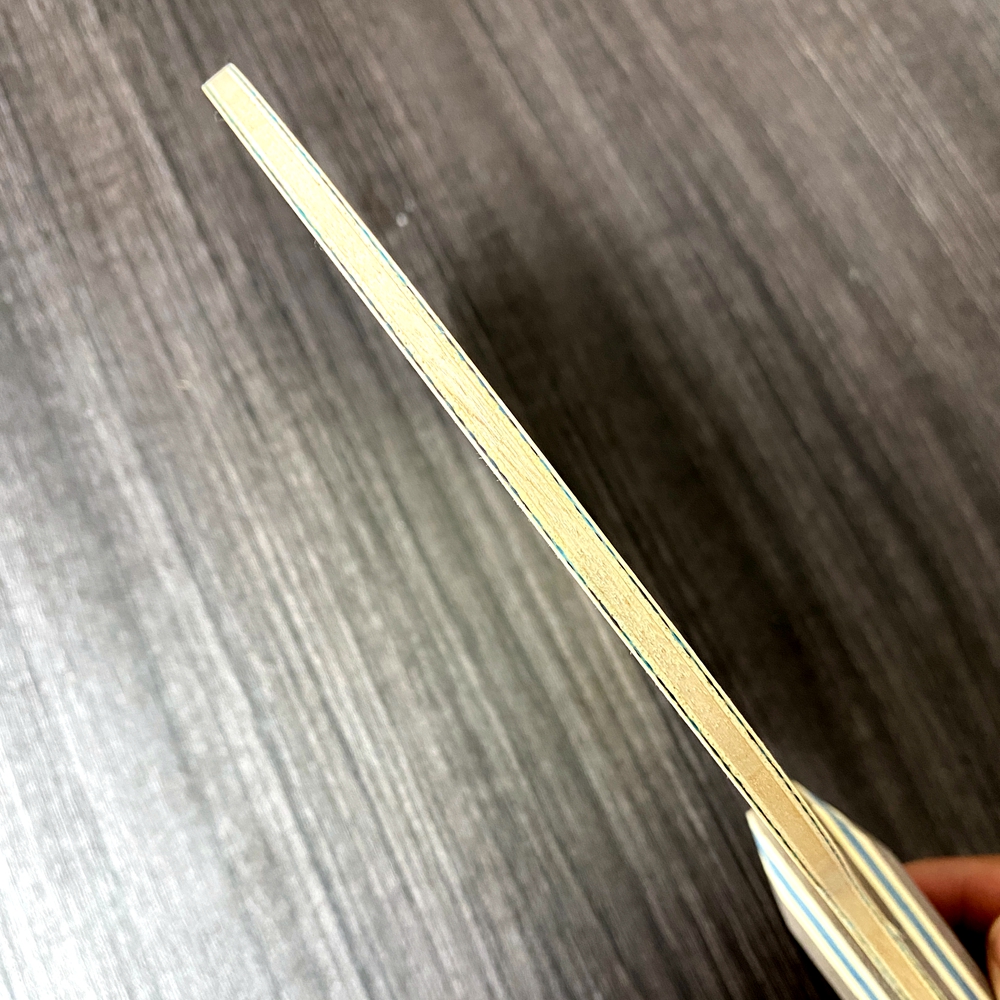 Profesjonalna rączka do tenisa – Table Tennis Bat recenzja i cena