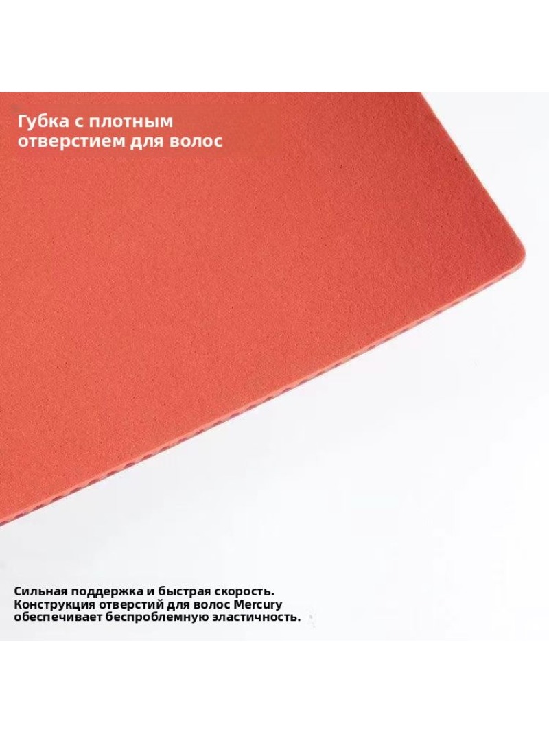 Guma do tenisa stołowego SANWE – Table Tennis Bat recenzja i cena