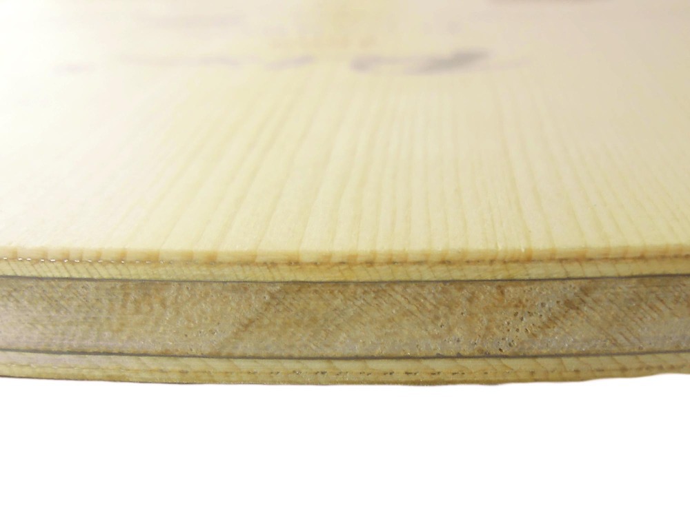 PALIO 8603 Carbon Titanium rak – Table Tennis Review recenzja i cena