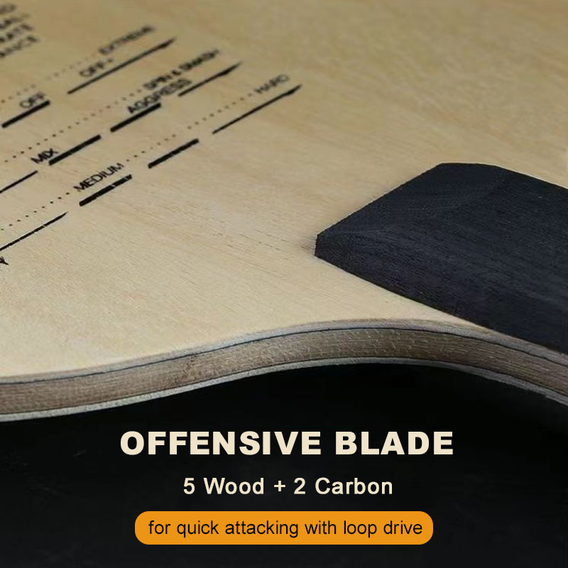 Oryginalne ostrze do tenisa st – Table Tennis Eleven recenzja i cena